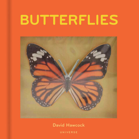 Book cover for Butterflies