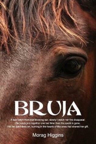 Cover of Bruja