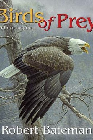 Cover of Birds of Prey