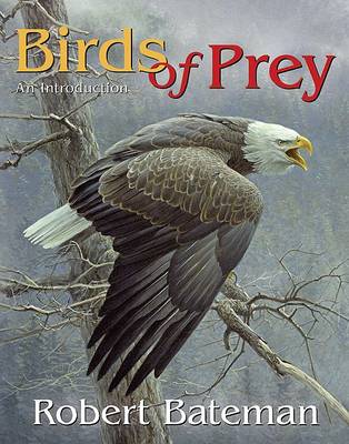 Book cover for Birds of Prey