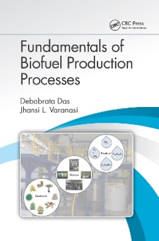 Cover of Fundamentals of Biofuel Production Processes