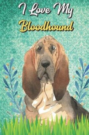 Cover of I Love My Bloodhound