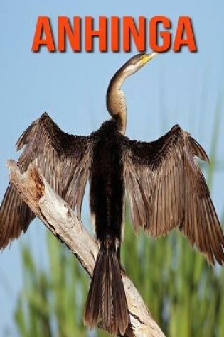 Cover of Anhinga