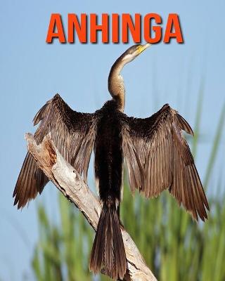 Book cover for Anhinga