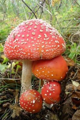 Book cover for Amanita Mushrooms in the Forest Autumn Journal