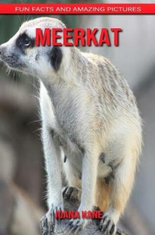 Cover of Meerkat