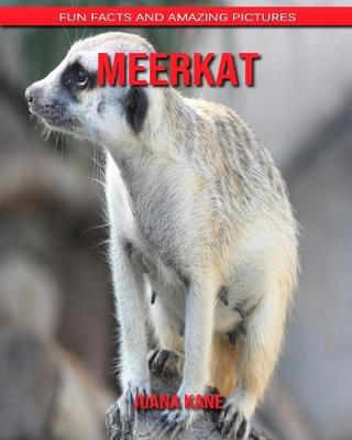 Book cover for Meerkat