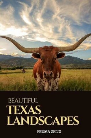 Cover of Beautiful Texas Landscapes