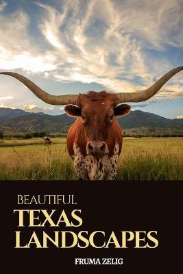 Book cover for Beautiful Texas Landscapes