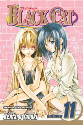 Book cover for Black Cat, Vol. 11