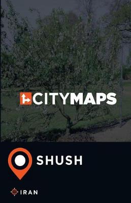 Book cover for City Maps Shush Iran