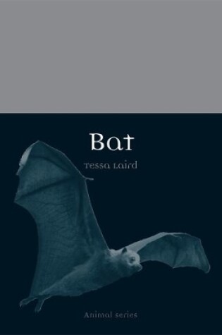 Cover of Bat