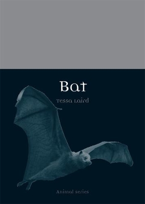 Book cover for Bat