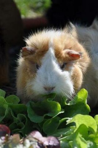 Cover of Brown and White Guinea Pig Enjoying a Salad Journal