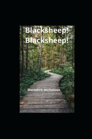 Cover of Blacksheep! Blacksheep! illustrated