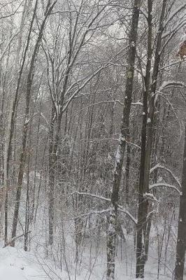 Cover of Journal Winter Forest Bare Trees Snowy Groundcover