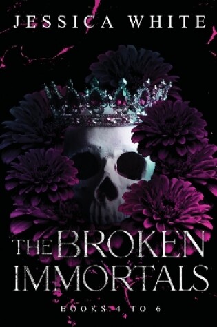 Cover of The Broken Immortals: Books 4-6