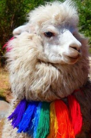 Cover of Alpaca with a Colorful Scarf Animal Journal