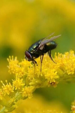 Cover of Golden Rod Blooms with a Fly Journal