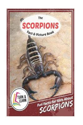 Book cover for The Scorpions Fact and Picture Book