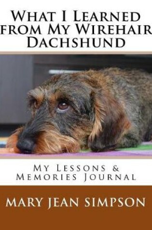 Cover of What I Learned from My Wirehair Dachshund