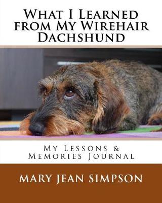 Book cover for What I Learned from My Wirehair Dachshund