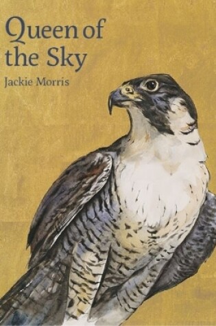Cover of Queen of the Sky