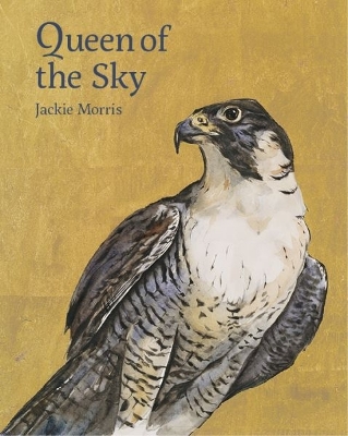 Book cover for Queen of the Sky