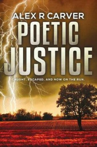 Cover of Poetic Justice