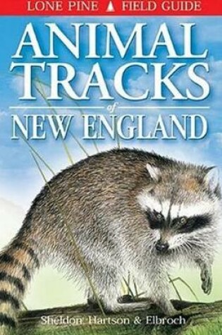 Cover of Animal Tracks of New England