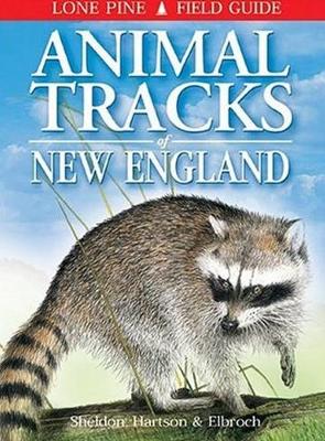 Book cover for Animal Tracks of New England