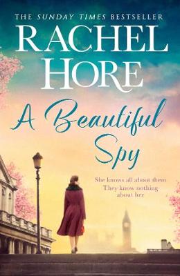 Book cover for A Beautiful Spy