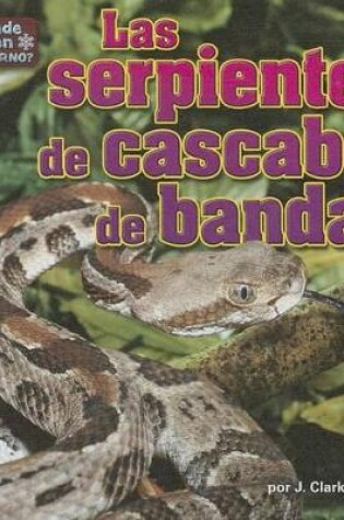 Cover of Las Serpientes de Cascabel de Bandas (Timber Rattlesnakes)