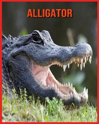 Book cover for Alligator