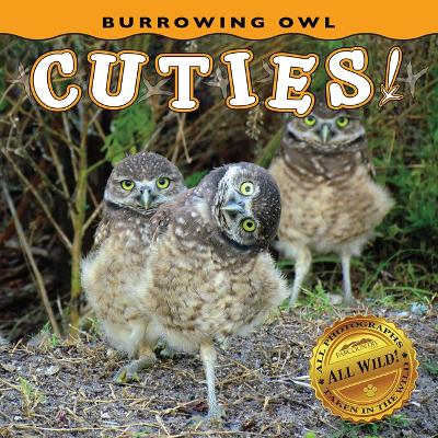 Cover of Burrowing Owl Cuties!