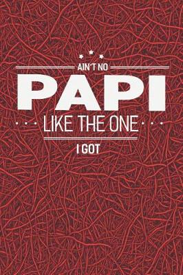 Book cover for Ain't No Papi Like The One I Got