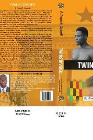 Cover of Twins Divided