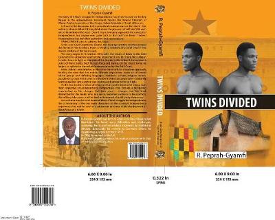 Book cover for Twins Divided