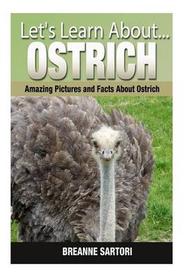 Book cover for Ostrich