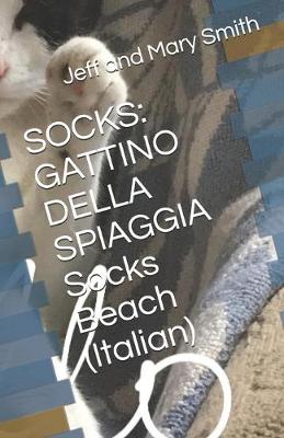 Book cover for Socks