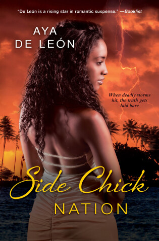 Cover of Side Chick Nation