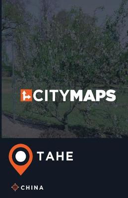 Book cover for City Maps Tahe China