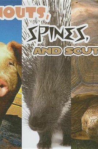 Cover of Snouts, Spines, and Scutes