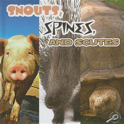 Book cover for Snouts, Spines, and Scutes