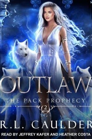 Cover of Outlaw