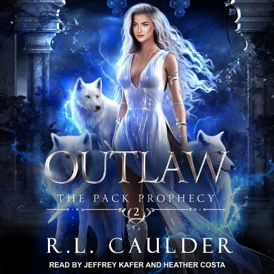 Book cover for Outlaw