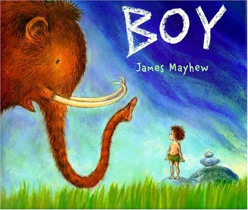 Book cover for Boy