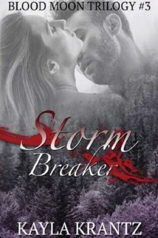 Cover of Storm Breaker