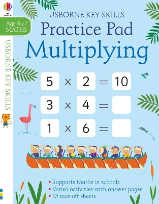 Book cover for Multiplying Practice Pad 6-7