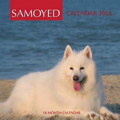 Book cover for Samoyed Calendar 2016